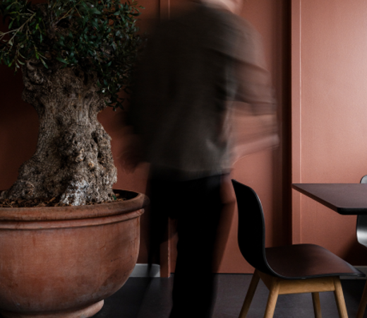 7N office with a male staff member walking beside a big plant